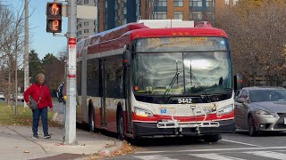 TTC New Flyer XDE60 Xcelsior Bendy Compilation August 2024 - January 2025