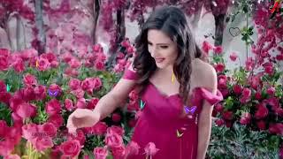 Rose Day WhatsApp Status | Valentines Special Rose Day 2019 | Happy Rose Day StatusBy trending video