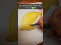 How to draw lemon with color theory🍋💛 #art #sketchbook #colortheory  #creative