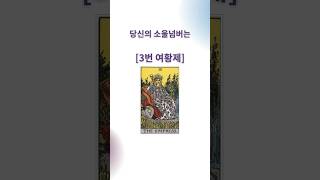 [타로쇼츠] 생일로 알아보는 당신의 소울넘버 3번 #타로 #타로카드 #tarot #인생조언