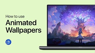 How To Use Animated Wallpapers with Wallpaper Engine