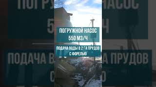 Погружной насос 500 м3/ч для подачи воды в 2 га прудов с форелью,  Ульяновская область