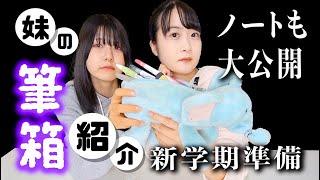 新学期準備！【筆箱の中身紹介】これが中学生の文房具？【のえのん】