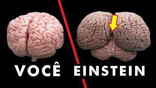 A diferença de um cérebro de um gênio e o seu