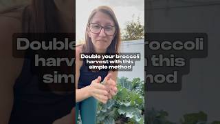 Double Your Broccoli Harvest!