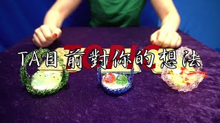 塔羅占卜：TA對你的想法｜為什麼忽冷忽熱（無時間限制）