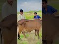 part 1.. nomannr funny funnyvideos unfrezzmyaccount