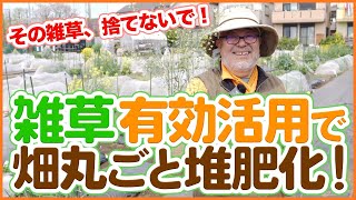 家庭菜園や農園で雑草を捨てずに有効活用！畑丸ごと堆肥化する循環栽培のコツを徹底解説！【農園ライフ】