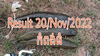 បបក់ត្រីរ៉ស់នៅស្ទឹងព្រៃប្រស់/កំពង់ធំ snakehead fishing at PreyPros KhampongThom province.