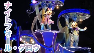 夜のパレード『ナイトフォール・グロウ』【東京ディズニーランド】