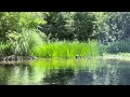 谷口吉生デザイン 葛西臨海水族園”水辺の自然エリア” a natural landscape designed by yoshio taniguchi