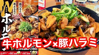 ゴロゴロ食感の牛ホルモン×豚ハラミをニンニクのパンチあふれる焼肉ダレで炒めた豪快肉丼！伝説のすた丼屋 豪快Wホルモンすたみな焼肉丼