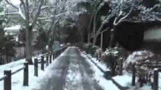 雪の哲学の道～法然院