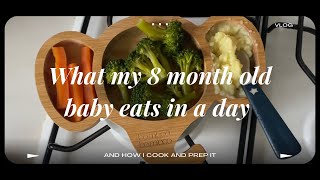 What my 8 month old baby eats in a day - baby pancake breakfast and baby led weaning lunch today