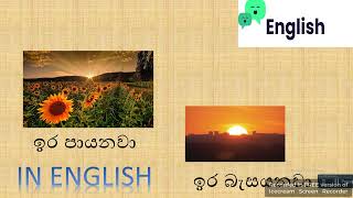 ඉර පායනවා, බැසයනවා ඉංග්‍රිසියෙන් කියමු. English in Sinhala