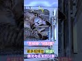 招财猫 吉祥物 幸运猫咪 小动物 猫咪睡姿 流浪猫 猫窝 cute cat stray cat sleeping cat animals 休闲时刻的一把乱影 更多视频在频道 佛法与名言的分享