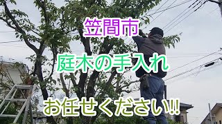 茨城県　笠間市　庭木の手入れ　枝切り　剪定　伐採　枝片付け　造園　