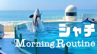 【モーニングルーティン】丁寧なシャチの暮らし　鴨川シーワールド　ラビー　ララ　ラン　MorningRoutine