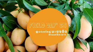 งานวันถ่ายทอดเทคโนโลยีเพื่อเริ่มต้นฤดูกาลผลิตใหม่ (Field Day) ปี 2565