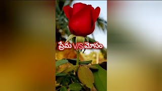 ప్రేమ vs మోసం || cheating love status telugu || cheating quotes #shorts #youtubeshorts #viral