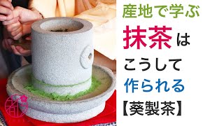 「西尾の抹茶」産地で聞いた味の秘密と石臼の魅力に迫る工場見学@miyako_salon