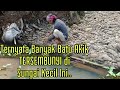 GA NYANGKA..! MENCOBA MBOLANG BATU AKIK DI SUNGAI KECIL MALAH DAPAT BANYAK BAHAN BATU AKIK MANTAP.