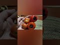 persimmon and tomato shortvideos