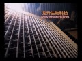 联合炉排生物质锅炉演示 combined grates biomass boiler demo