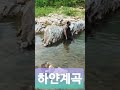 하얀계곡 2021.07.31