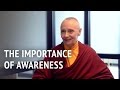 The Importance of Awareness | Jetsunma Tenzin Palmo