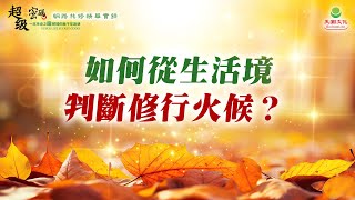 如何從生活境判斷修行火候？｜太陽盛德導師–超級生命密碼網路共修精華