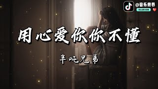 MUSIC WORLD 音乐世界- 《用心爱你你不懂》半吨兄弟 【動態歌詞】【Lyrics】