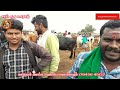 ஈரோடு கருங்கல் பாளையம் மாட்டு சந்தை cow market in tamilnadu erode.