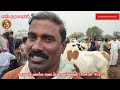 ஈரோடு கருங்கல் பாளையம் மாட்டு சந்தை cow market in tamilnadu erode.