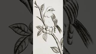 sparrow art drawing.how to draw a sparrow drawing pencil video.step by step #shortvideo #drawing .