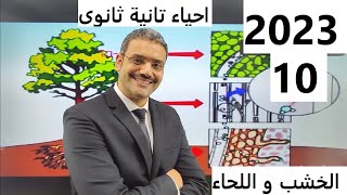 2023 أحياء تانية ثانوى الترم الأول : 10 - تابع النقل فى النباتات تركيب الخشب و اللحاء نظام جديد