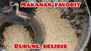 Playtube Pk Ultimate Video Sharing Website