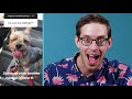 Keith Crowns Instagram’s Next Dog Superstar