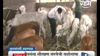 Yawatmal based  youth helping farmers to take care of their cattle in nasty summers