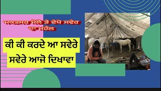 ਸਵੇਰ ਦਾ ਟਾਈਮ ਦੇਖੋ ਮੰਡੀ ਮੁਕਤਸਰ ਤੇ morning time at mukatsar sahib horse mela #jitastudfarm 9855589017