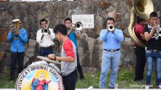 Banda de viento Asunción - Árboles de la Barranca