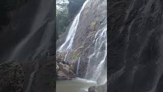 මාතලේට අයිති සුන්දර අල්ලක් නම දන්නවද? | Matale | Kandy | Waterfalls in Matale #waterfall #srilanka