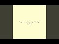 Fragments Moonlight Twilight