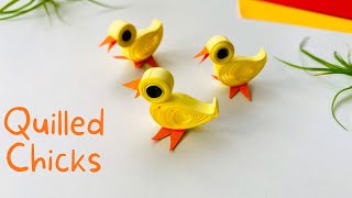 DIY Quilling Easter Chicks | Cute Paper Chick | DIY Easy Quilling Bird |Quilling Craft Idea