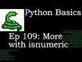 Python Basics String More with isnumeric