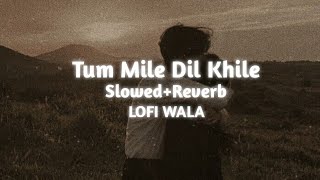 Tum Mile Dil Khile | [ Slowed+Reverb ] | Raj Barman | LOFI WALA