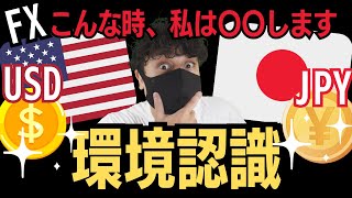 【FX】使えるドル円環境認識動画。この場合は〇〇します。