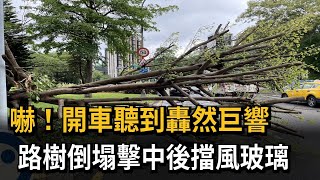 嚇！開車聽到轟然巨響　路樹倒塌擊中後擋風玻璃－民視新聞