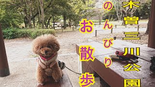 木曽三川公園の平日散歩してみたの