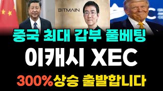 [이캐시코인] 속보! 우지한 3조투입 매집, 이 날 300% 급등합니다